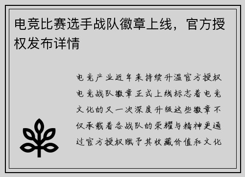 电竞比赛选手战队徽章上线，官方授权发布详情